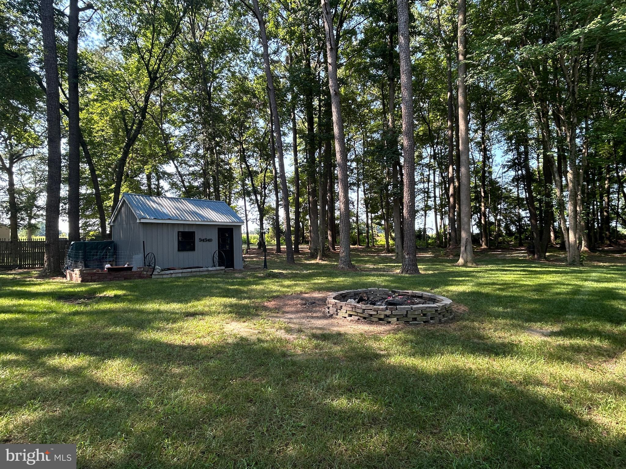 27002 Kaye Road Laurel, DE 19956 - Photo 57 of 64 The view of the shed and the fire pit