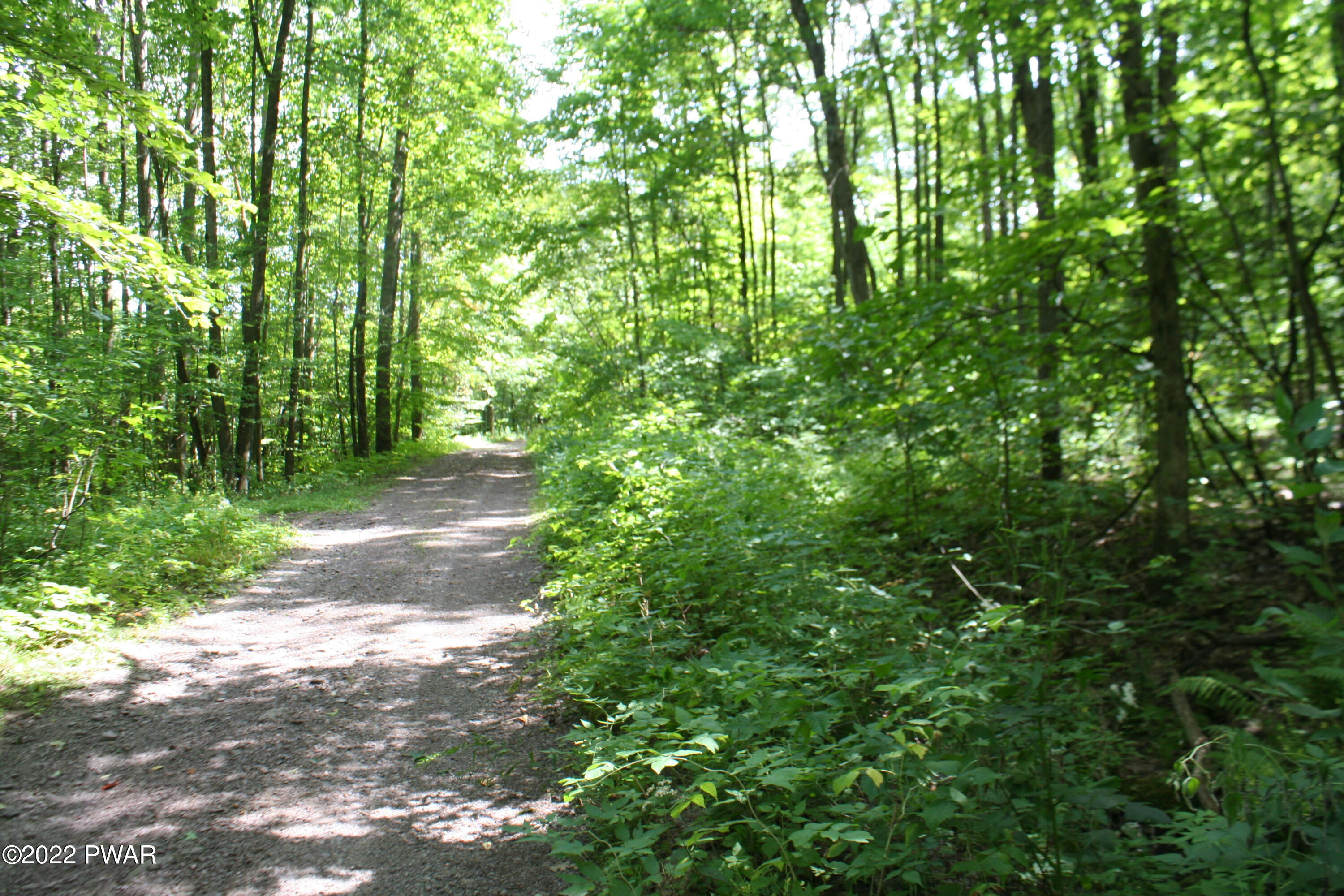 Oak Lane Waymart, PA 18472 - Photo 6 of 9