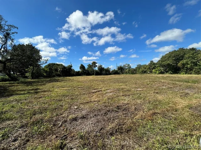 a view of a field with an ocean