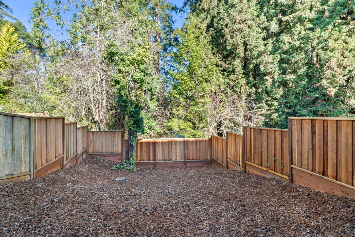 270 Carrera Circle Aptos, CA 95003 - Photo 30 of 42 a view of a backyard with large trees and wooden fence