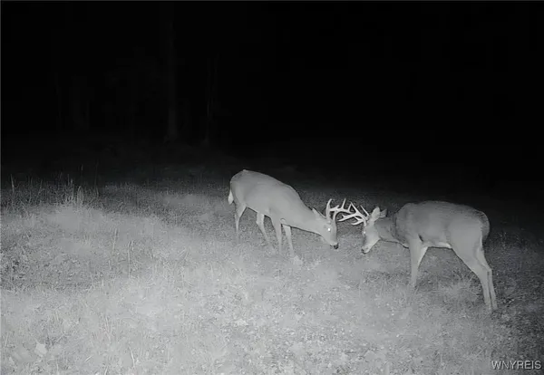 $299,900 | 2718 Vollentine Road, Randolph, NY 14772