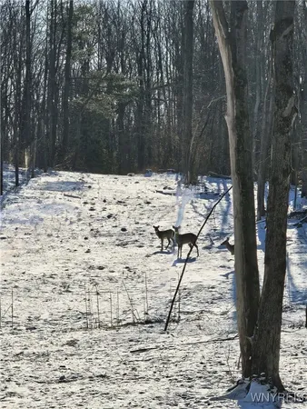 $299,900 | 2718 Vollentine Road, Randolph, NY 14772