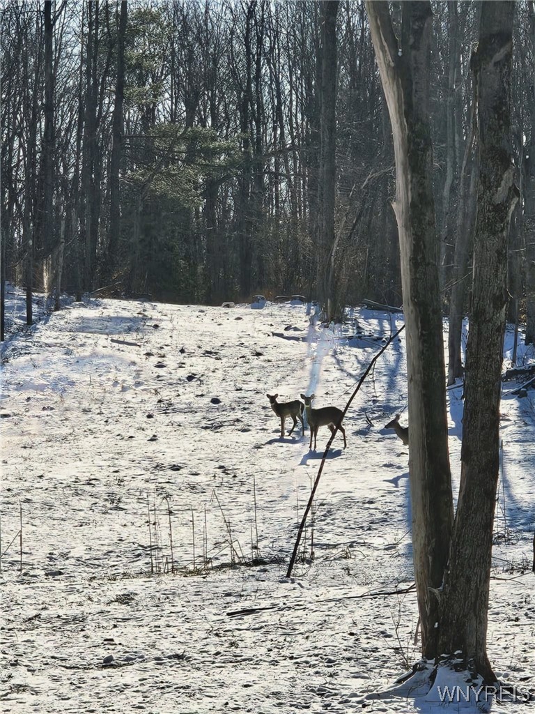 2718 Vollentine Road Randolph, NY 14772 - Photo 33 of 49