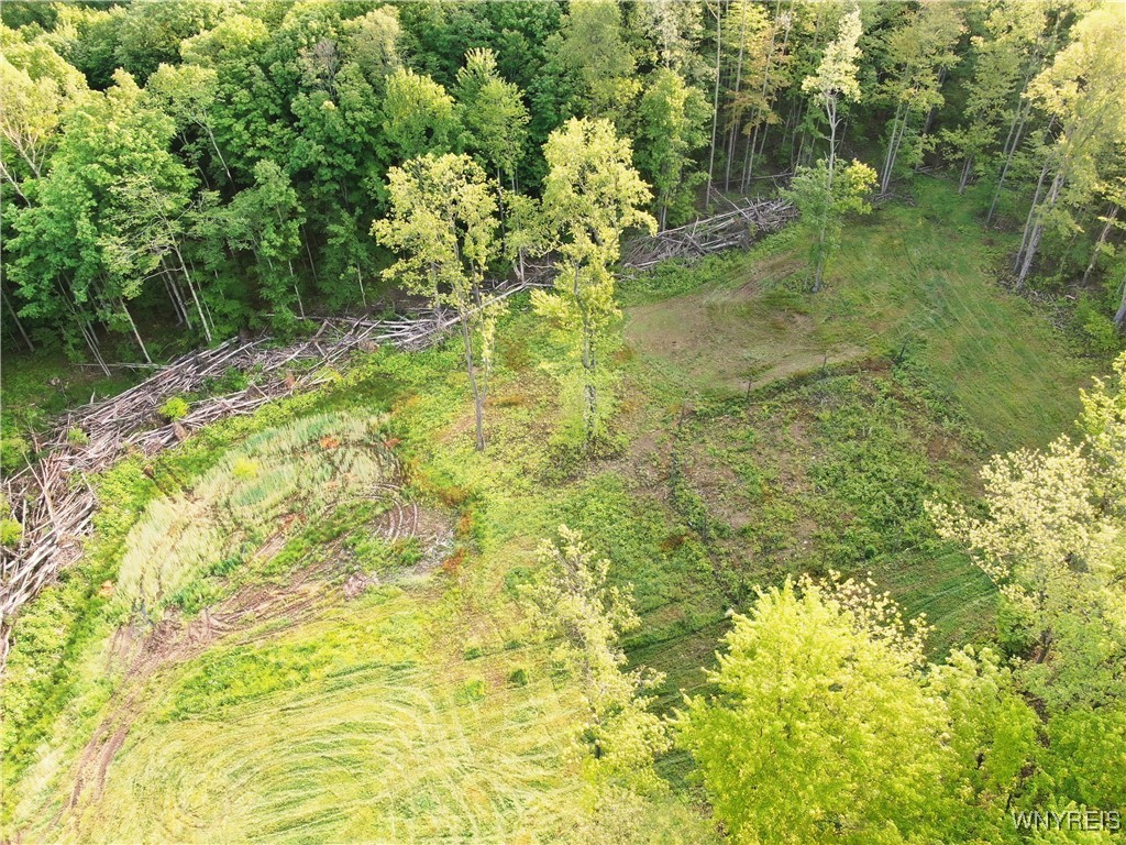 2718 Vollentine Road Randolph, NY 14772 - Photo 34 of 49