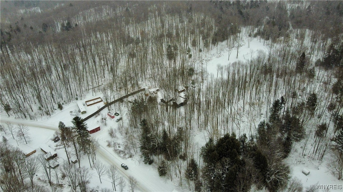 2718 Vollentine Road Randolph, NY 14772 - Photo 39 of 49