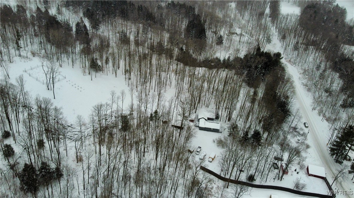 2718 Vollentine Road Randolph, NY 14772 - Photo 40 of 49