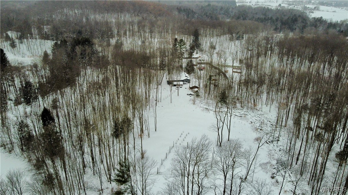 2718 Vollentine Road Randolph, NY 14772 - Photo 42 of 49