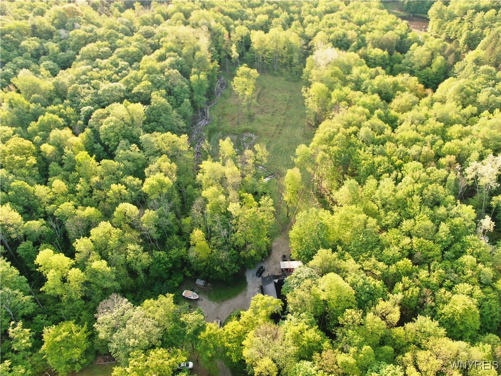 2718 Vollentine Road Randolph, NY 14772 - Photo 44 of 49