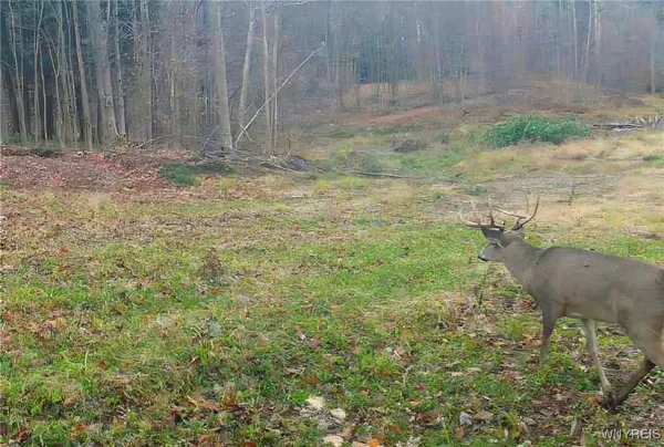 $299,900 | 2718 Vollentine Road, Randolph, NY 14772