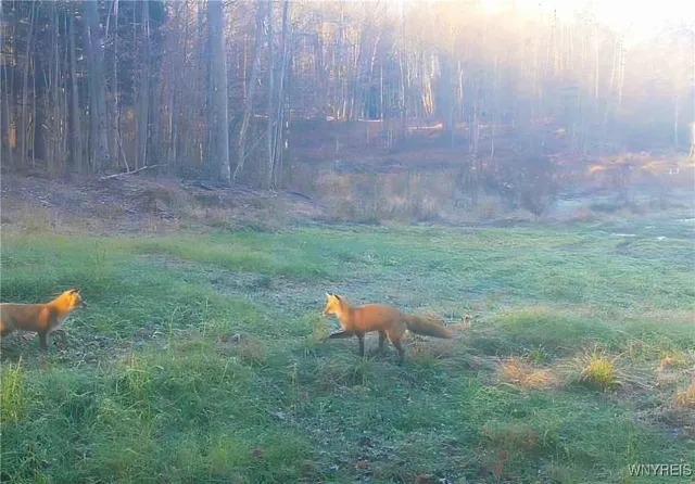 $309,900 | 2718 Vollentine Road, Randolph, NY 14772