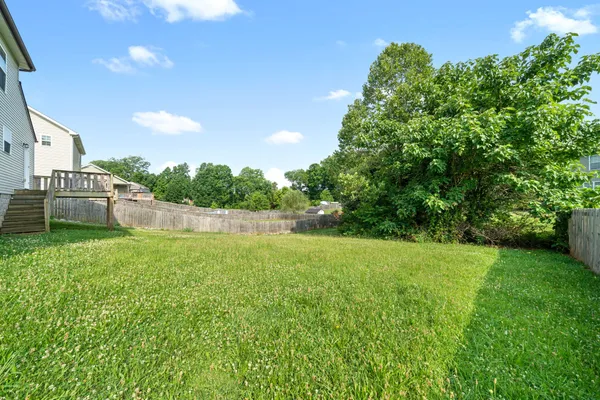 a view of a backyard
