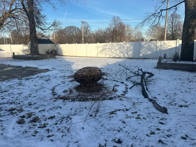 a view of a backyard of the house
