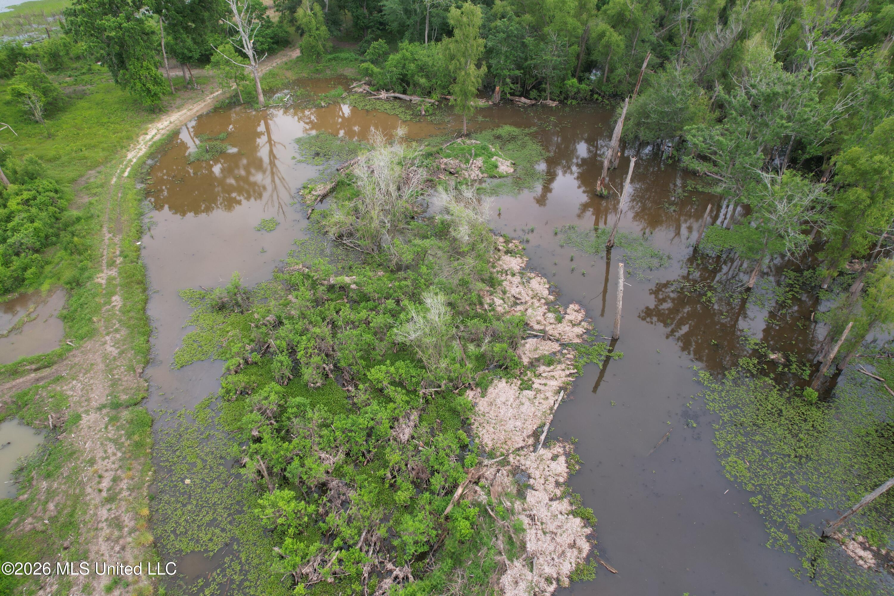 Lake Mary Road Woodville, MS 39669 - Photo 13 of 39 DJI_0971