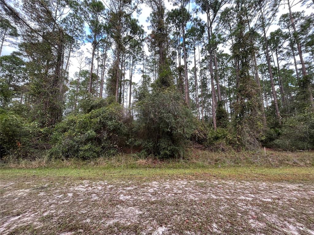 108 5th Street Georgetown, FL 32139 - Photo 2 of 7