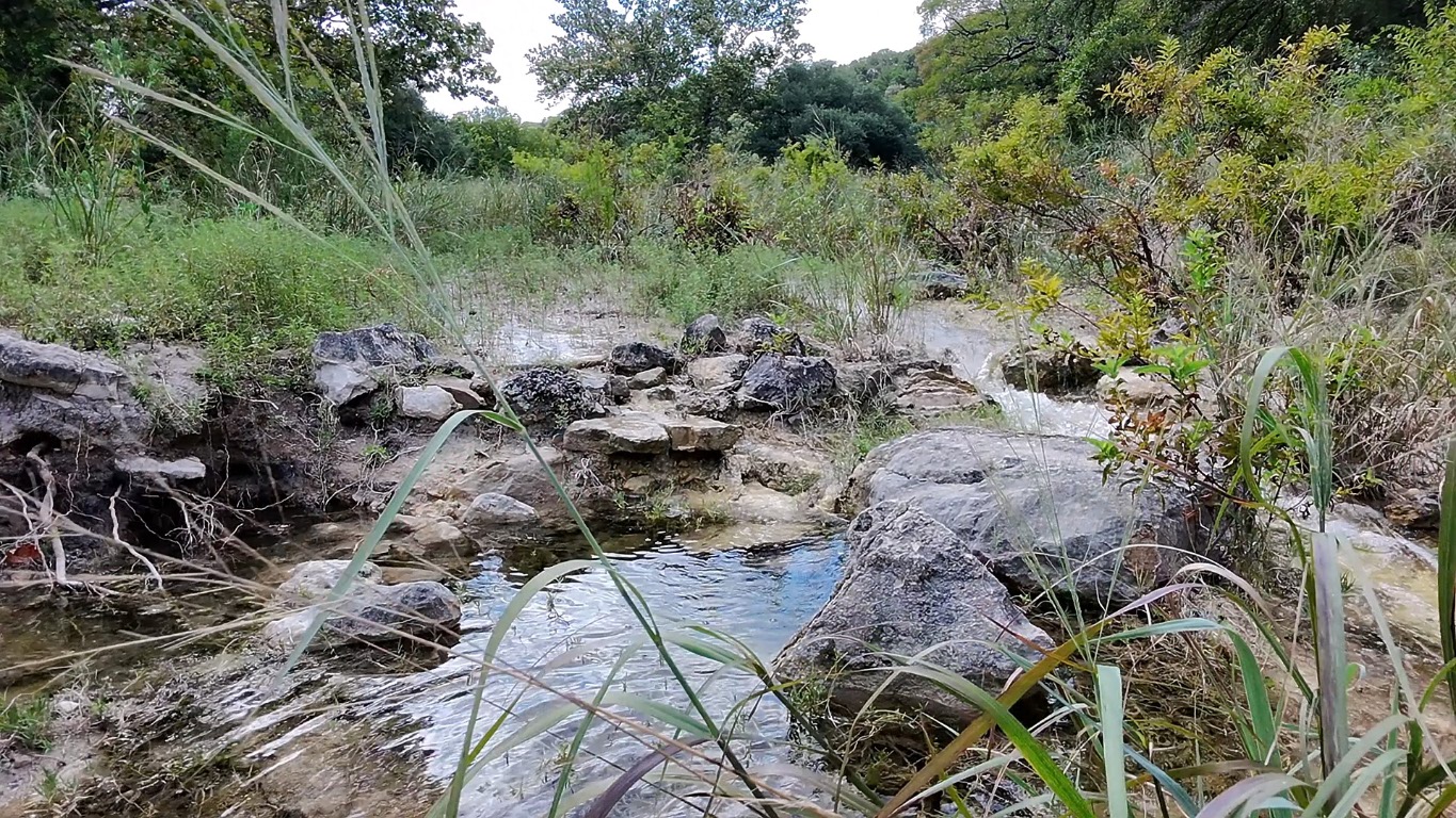 18111 Gregg Bluff Road Jonestown, TX 78645 - Photo 18 of 19 Nature at its Best!