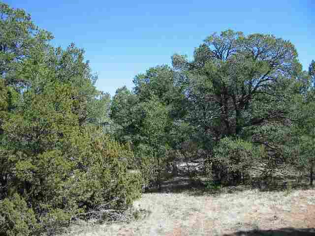 3411 North Buckskin Road, Unit 11B Overgaard, AZ 85933 - Photo 4 of 4 Additional Photo