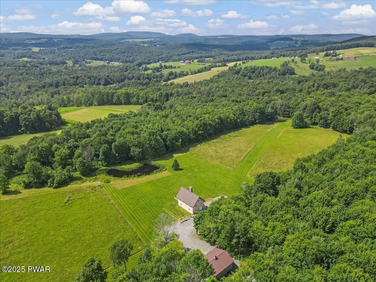 259 Ayoub Road Pleasant Mount, PA 18453 - Photo 139 of 144