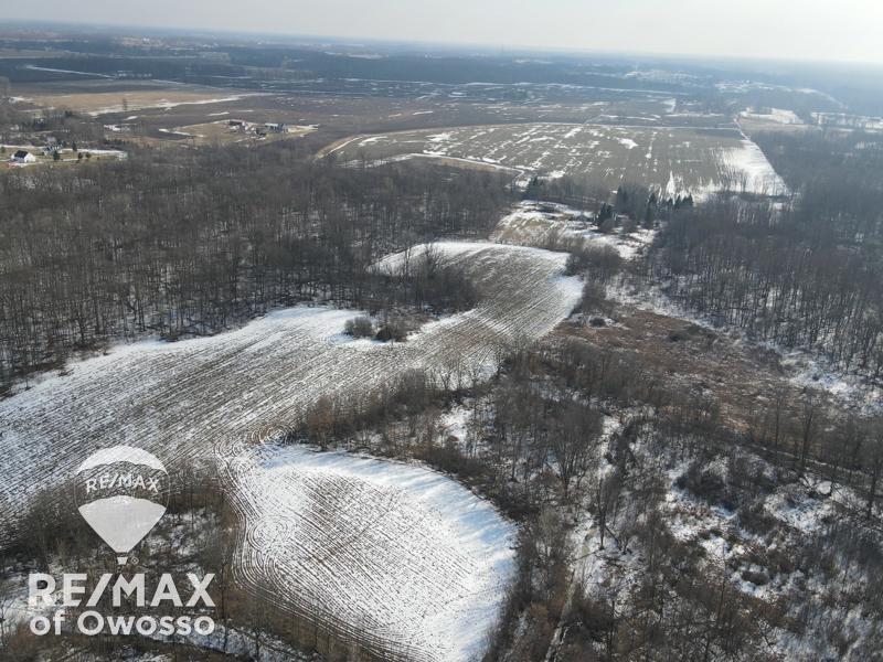 Lovejoy Road Perry, MI 48872 - Photo 2 of 7