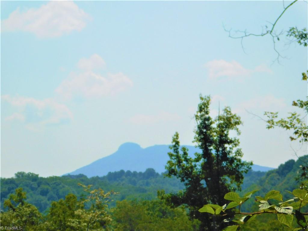 282 Bowman Road Ararat, NC 27007 - Photo 2 of 31 Pilot Mountain