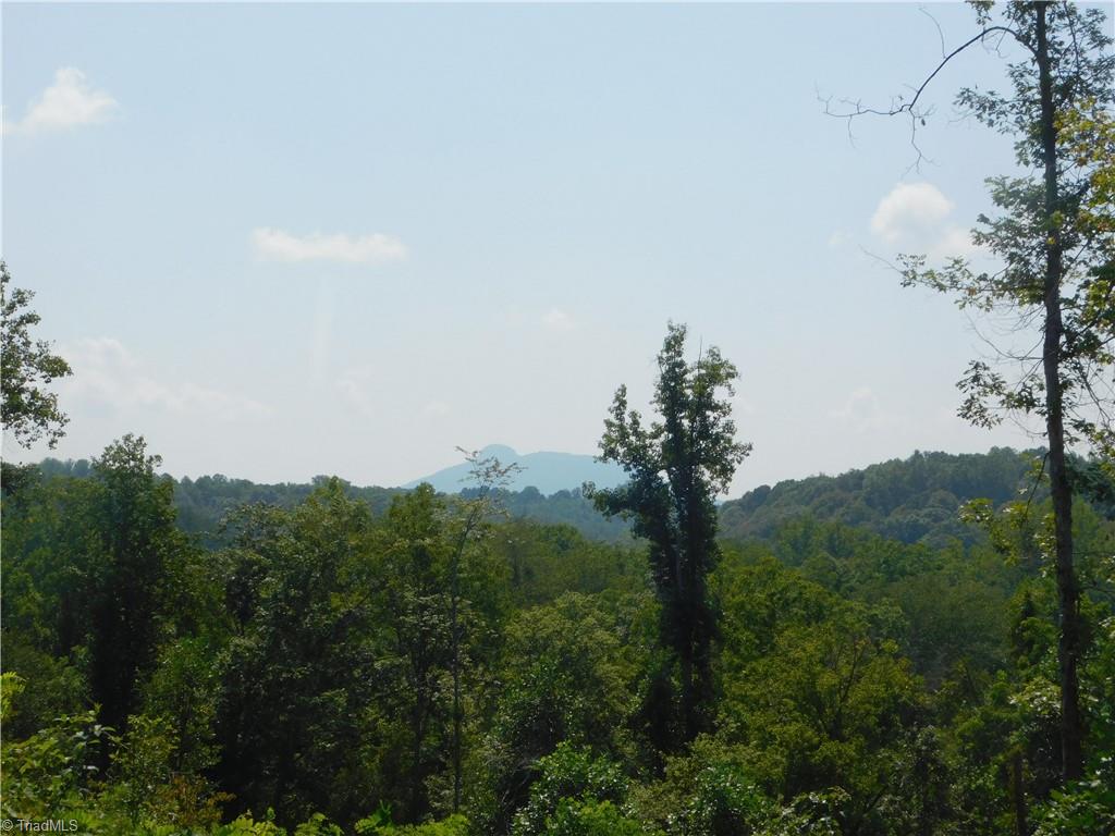 282 Bowman Road Ararat, NC 27007 - Photo 11 of 31 Gallery Image 11