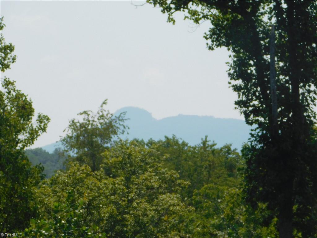 282 Bowman Road Ararat, NC 27007 - Photo 12 of 31 Gallery Image 12