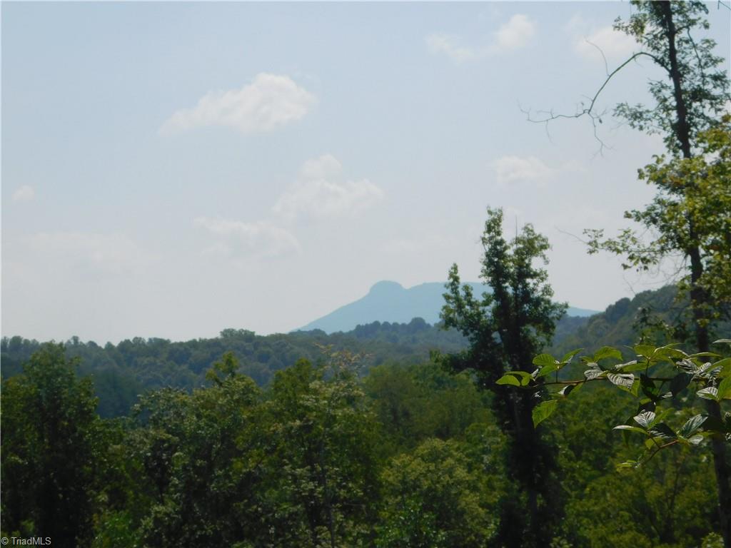282 Bowman Road Ararat, NC 27007 - Photo 13 of 31 Gallery Image 13