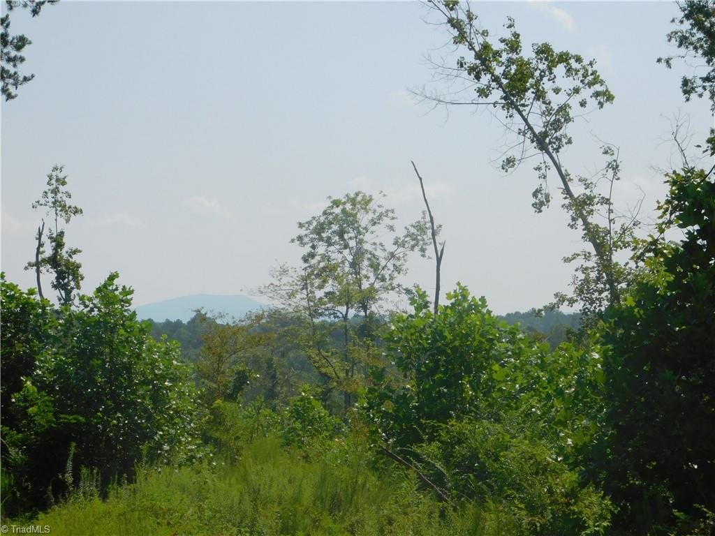 282 Bowman Road Ararat, NC 27007 - Photo 14 of 31 Gallery Image 14
