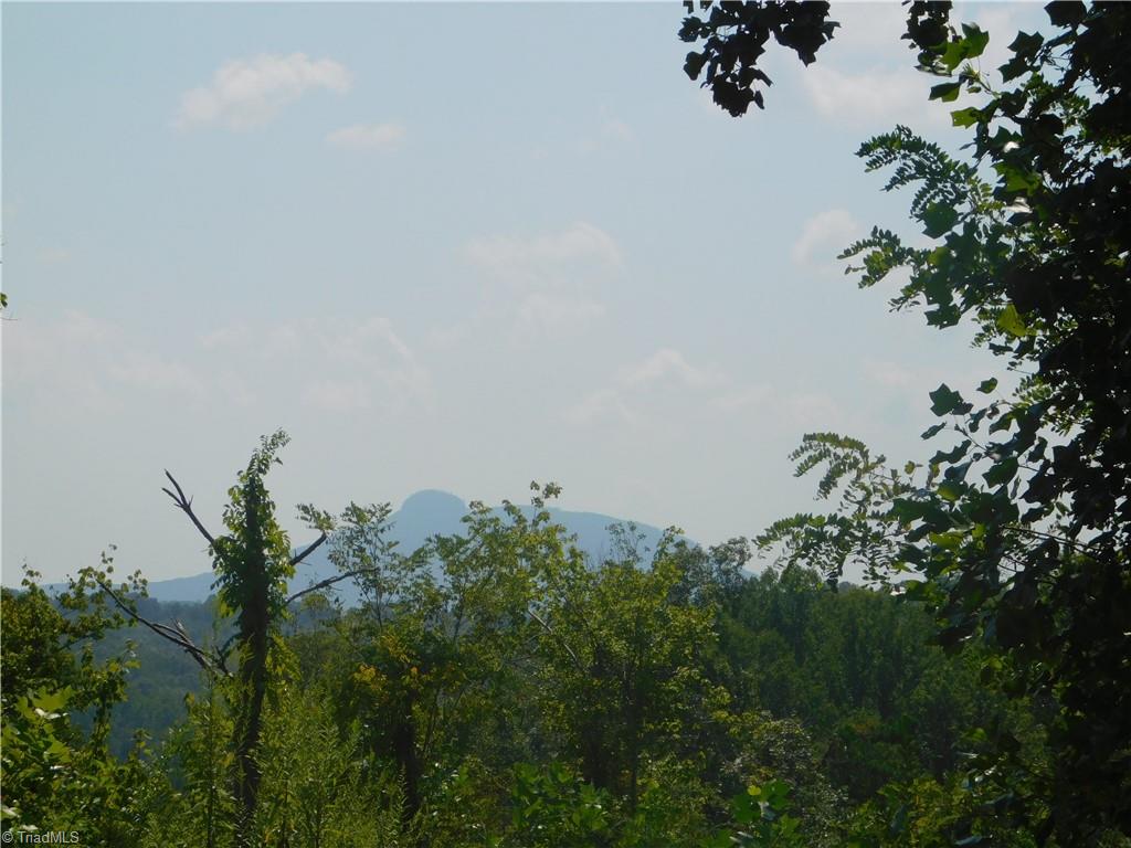 282 Bowman Road Ararat, NC 27007 - Photo 15 of 31 Gallery Image 15
