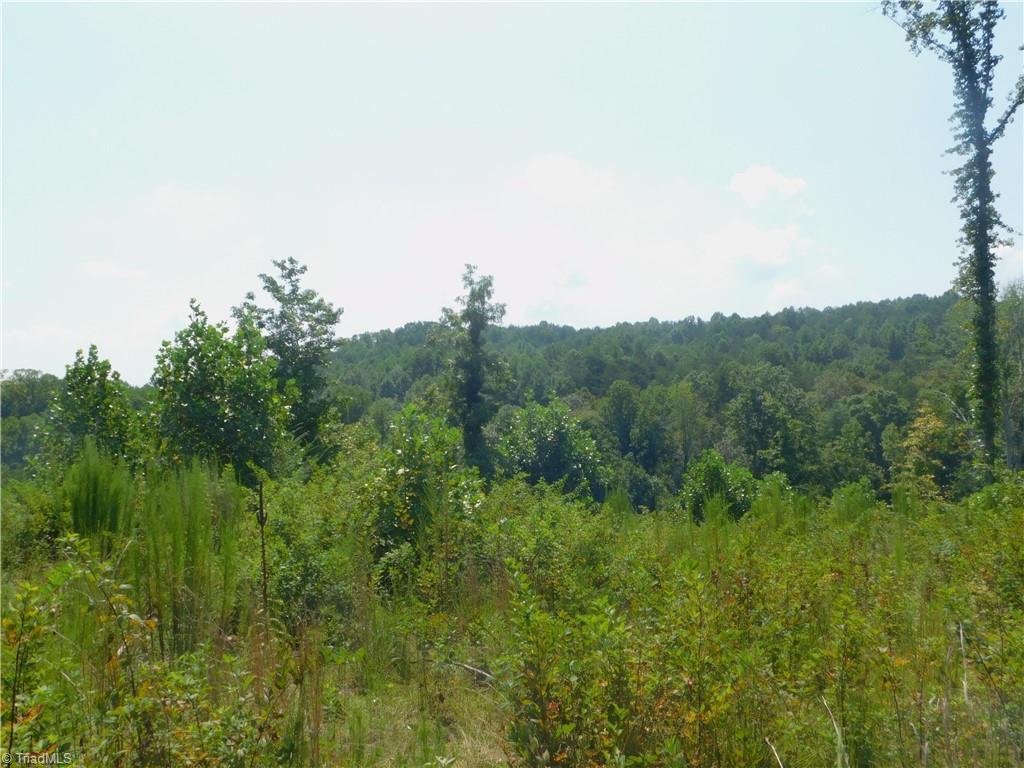 282 Bowman Road Ararat, NC 27007 - Photo 16 of 31 Gallery Image 16