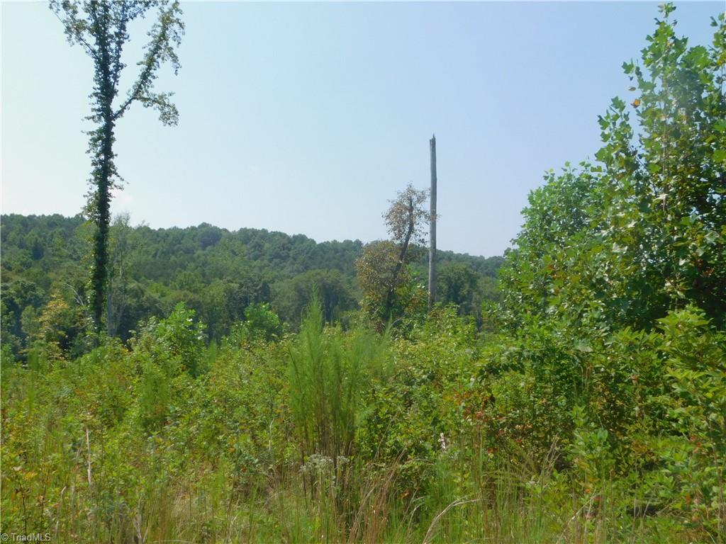 282 Bowman Road Ararat, NC 27007 - Photo 17 of 31 Gallery Image 17