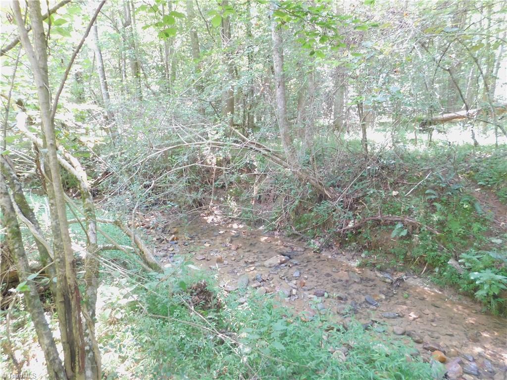 282 Bowman Road Ararat, NC 27007 - Photo 18 of 31 Gallery Image 18