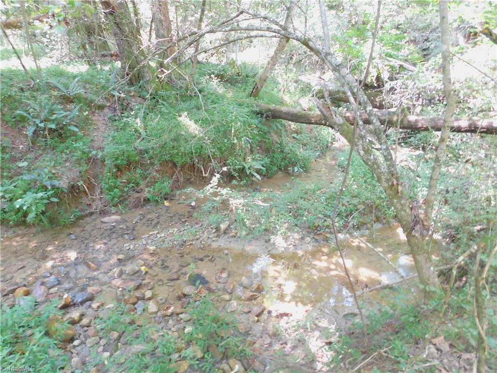 282 Bowman Road Ararat, NC 27007 - Photo 19 of 31 Gallery Image 19