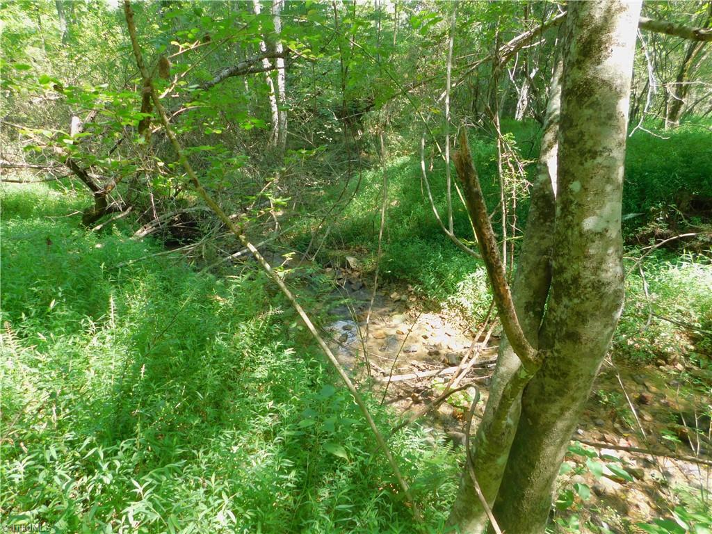 282 Bowman Road Ararat, NC 27007 - Photo 20 of 31 Gallery Image 20