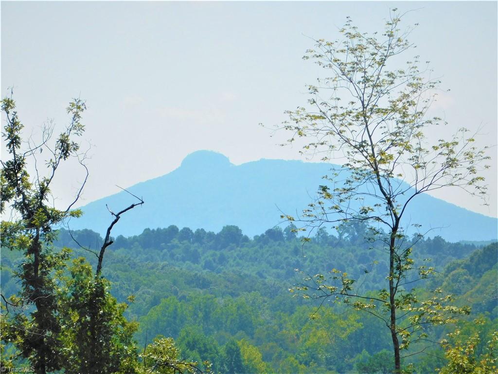 282 Bowman Road Ararat, NC 27007 - Photo 3 of 31 Pilot Mountain view