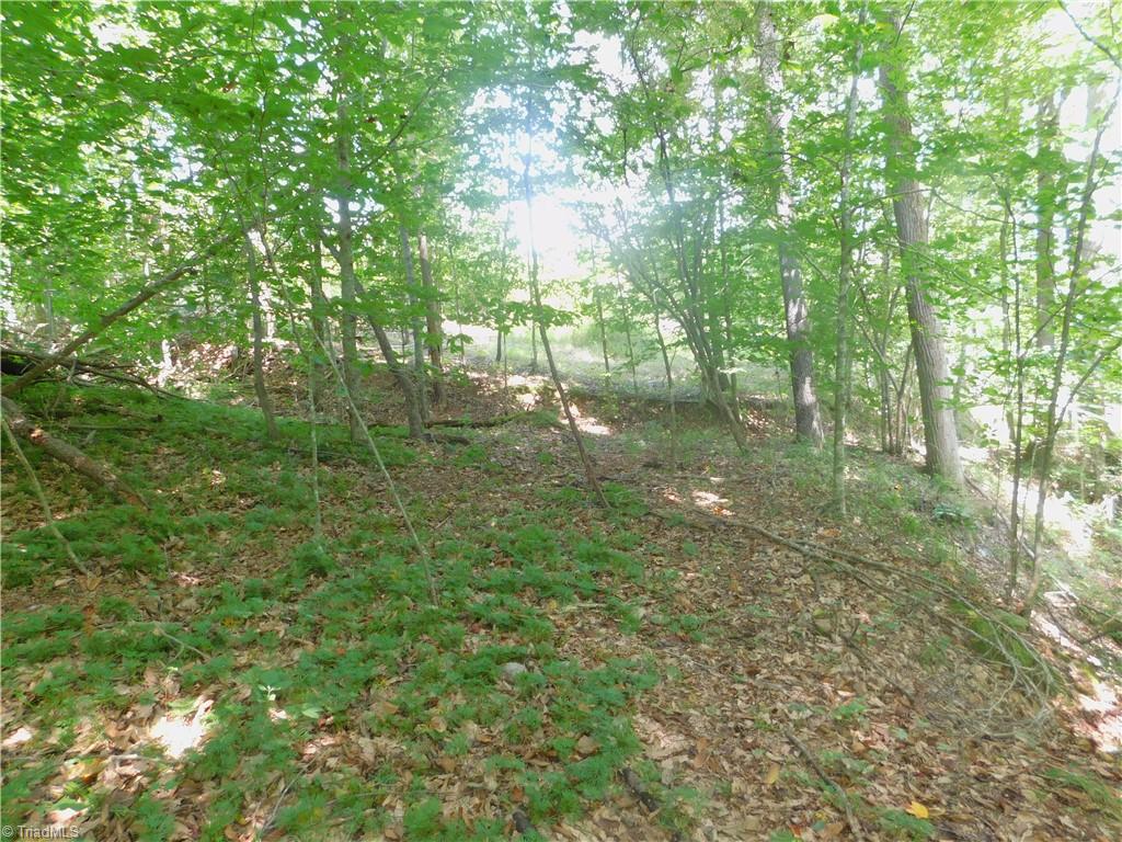 282 Bowman Road Ararat, NC 27007 - Photo 22 of 31 Gallery Image 22