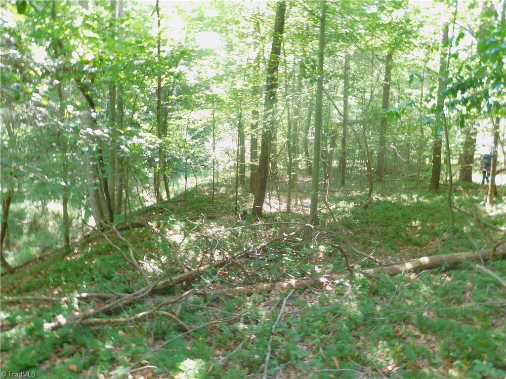 282 Bowman Road Ararat, NC 27007 - Photo 23 of 31 Gallery Image 23