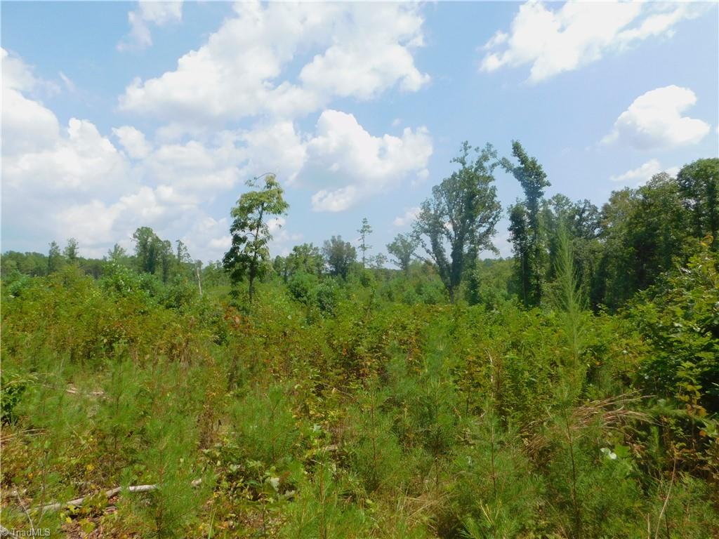 282 Bowman Road Ararat, NC 27007 - Photo 24 of 31 Gallery Image 24