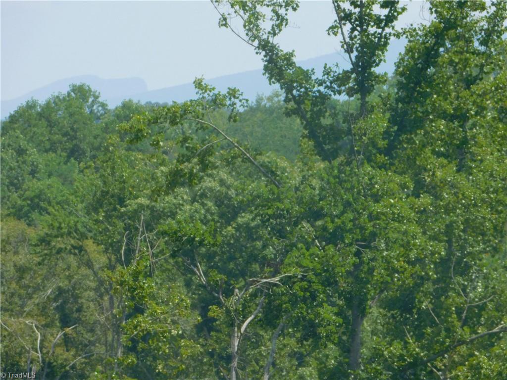282 Bowman Road Ararat, NC 27007 - Photo 25 of 31 Gallery Image 25