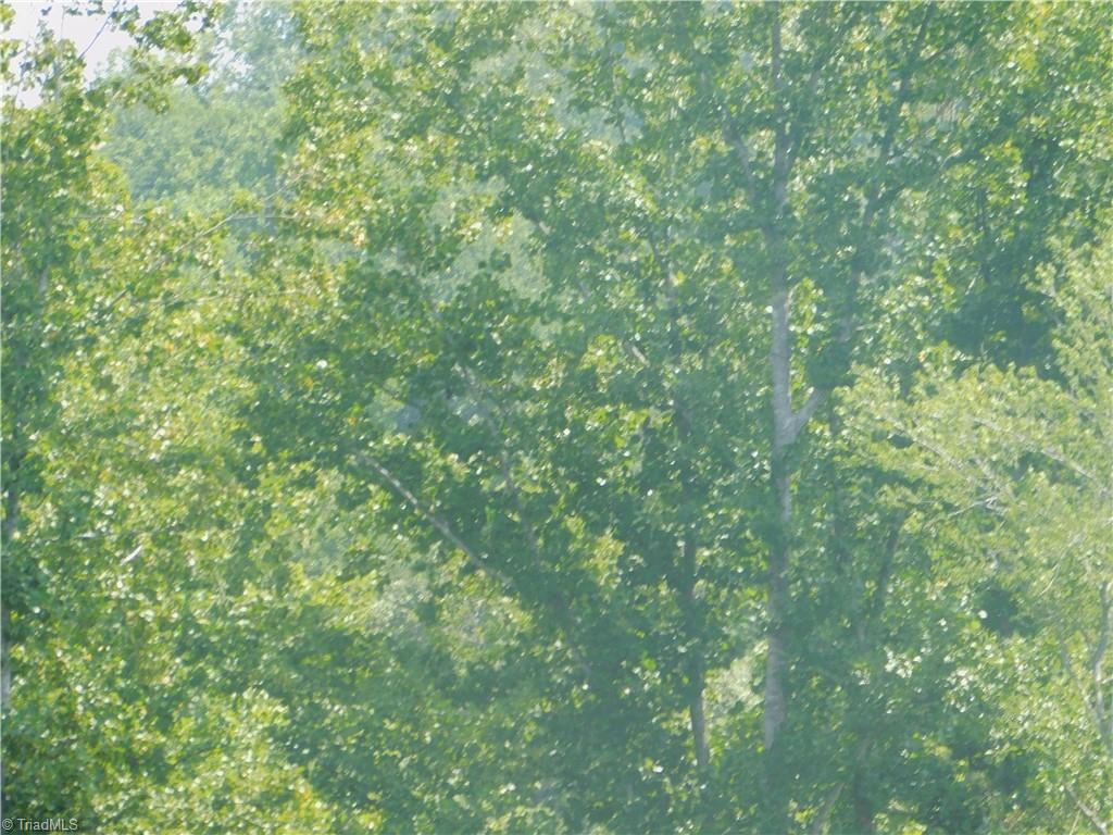 282 Bowman Road Ararat, NC 27007 - Photo 26 of 31 Gallery Image 26