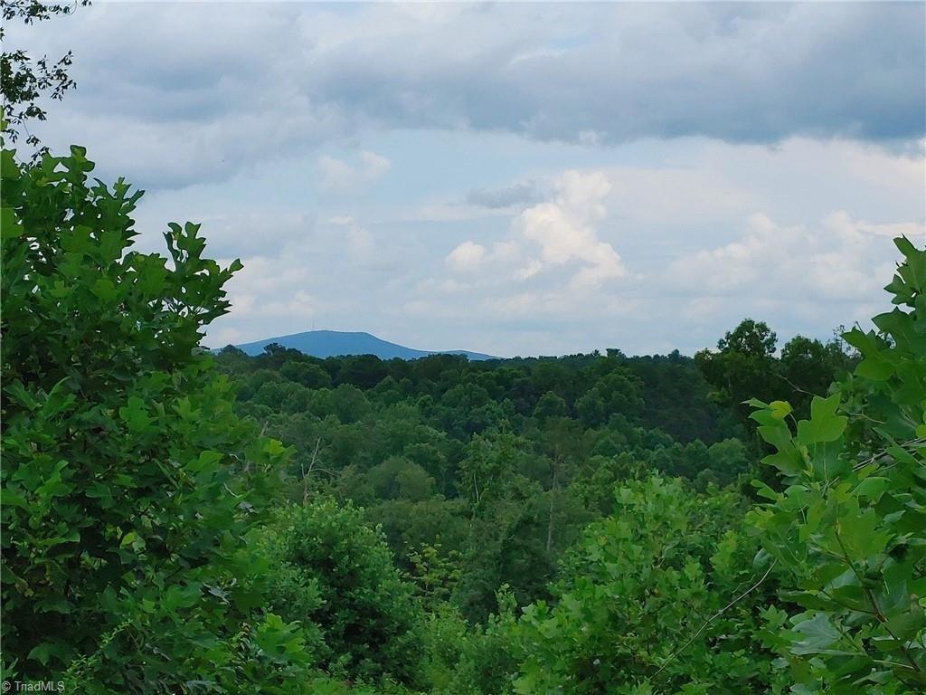 282 Bowman Road Ararat, NC 27007 - Photo 4 of 31 Sauratown Mountain view