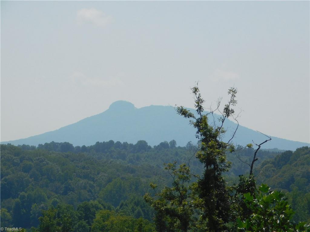 282 Bowman Road Ararat, NC 27007 - Photo 5 of 31 Gallery Image 5