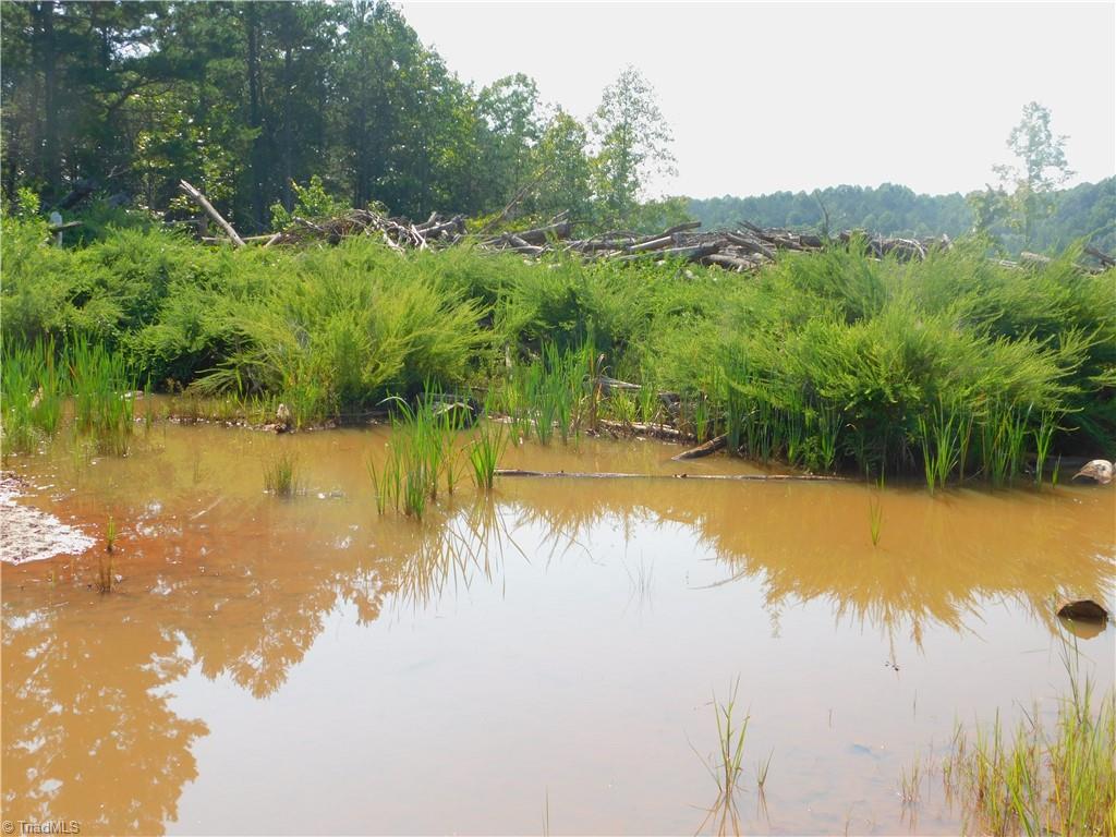 282 Bowman Road Ararat, NC 27007 - Photo 10 of 31 Gallery Image 10