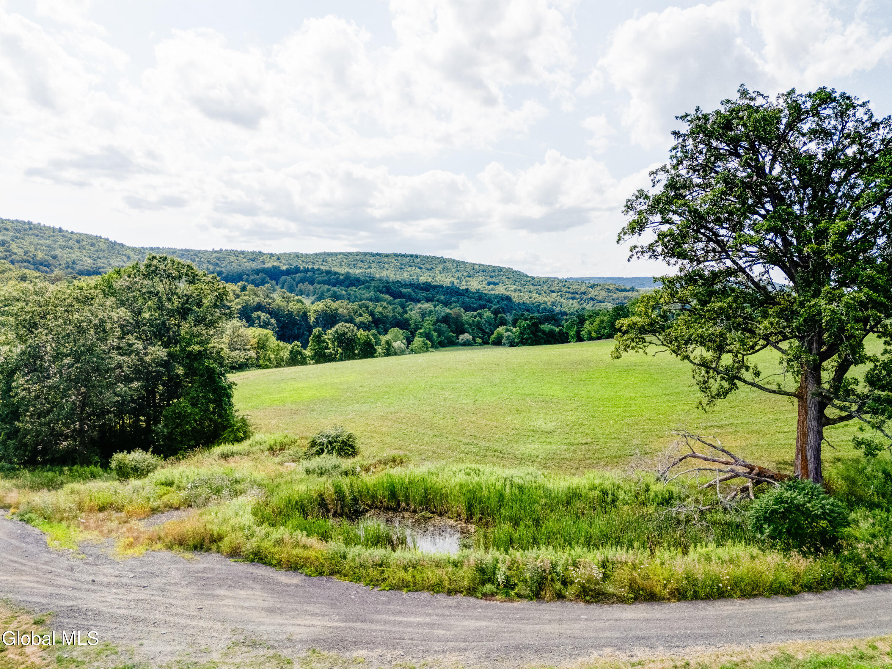 1589 Switzkill Road Berne, NY 12023 - Photo 18 of 24 1589 Switzkill Rd-17