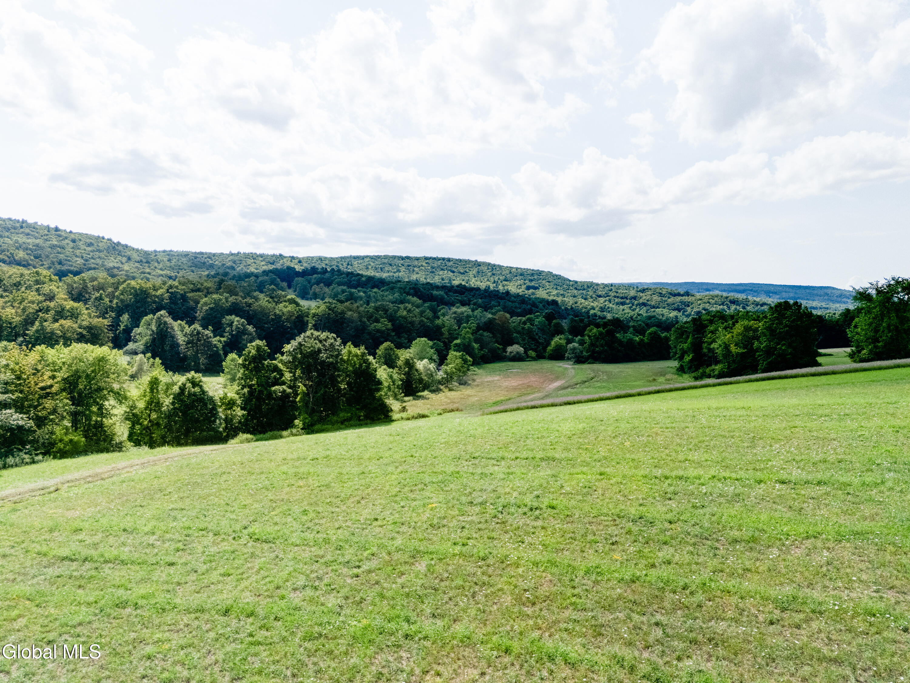 1589 Switzkill Road Berne, NY 12023 - Photo 19 of 24 1589 Switzkill Rd-18