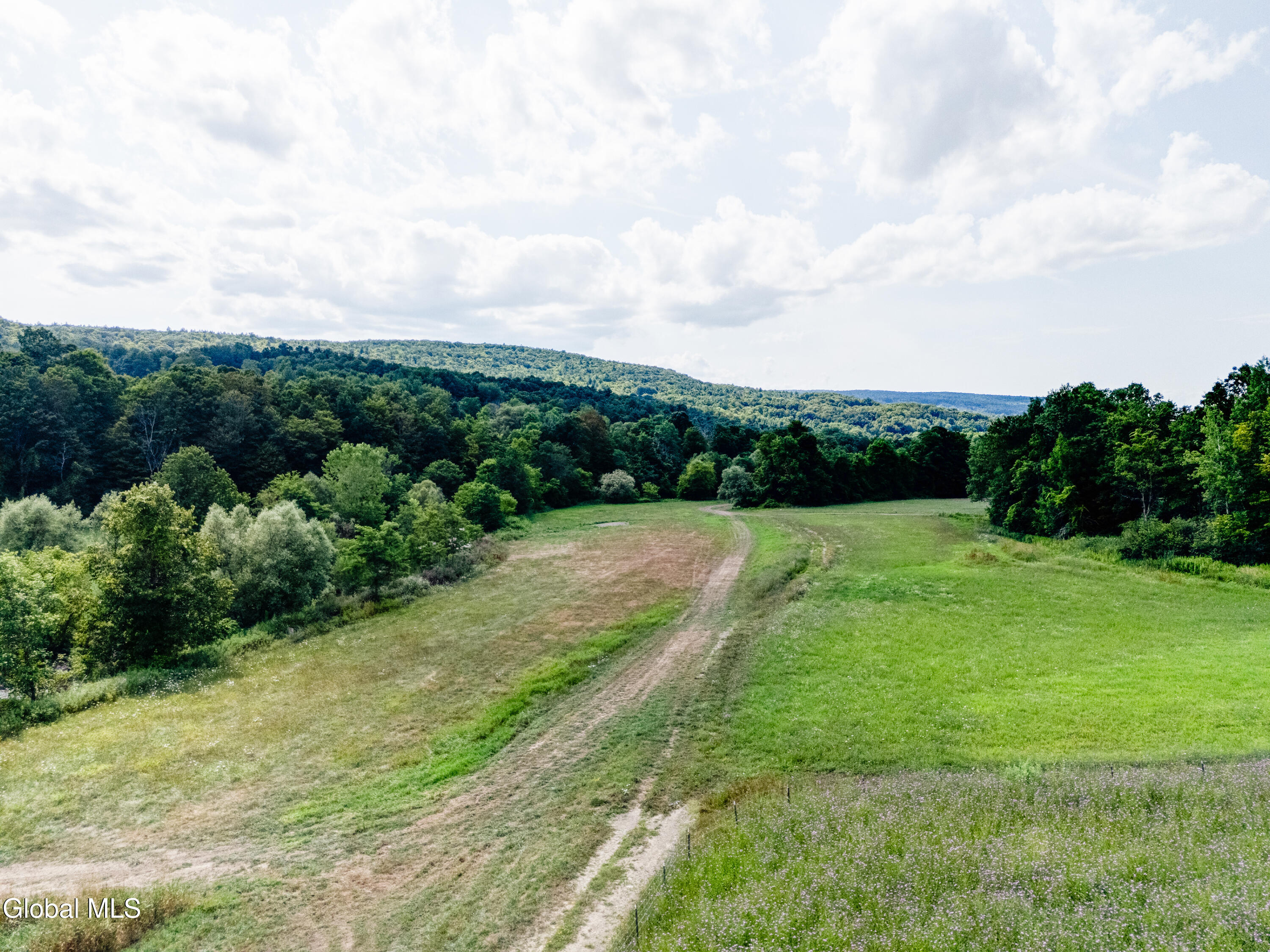 1589 Switzkill Road Berne, NY 12023 - Photo 21 of 24 1589 Switzkill Rd-19