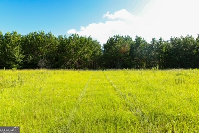 0 Newman Smith Road Bartow, GA 30413 - Photo 12 of 20 a view of yard with swimming pool and trees in the background