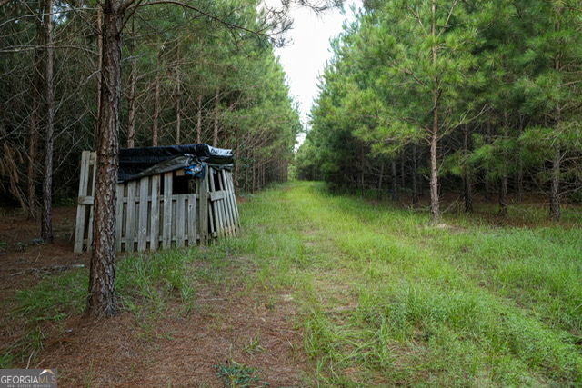 0 Newman Smith Road Bartow, GA 30413 - Photo 16 of 20 a view of a backyard