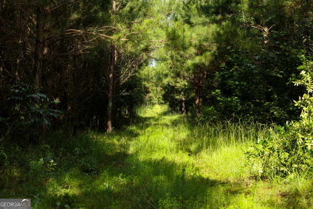 0 Newman Smith Road Bartow, GA 30413 - Photo 17 of 20 a view of yard with green space