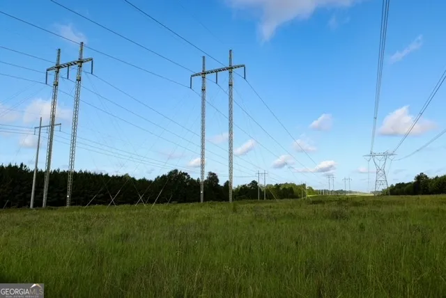 a view of a green filed