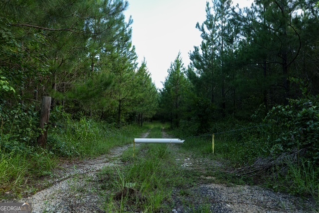 0 Newman Smith Road Bartow, GA 30413 - Photo 19 of 20 a view of a garden with plants